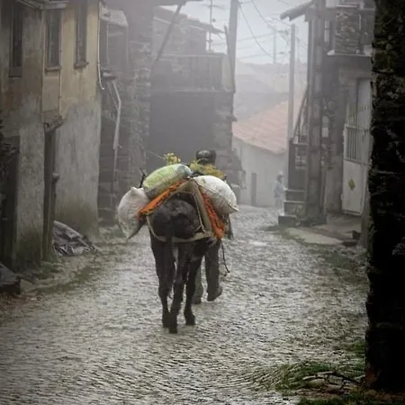 Casa Da Fonte Em Prada, Vinhais