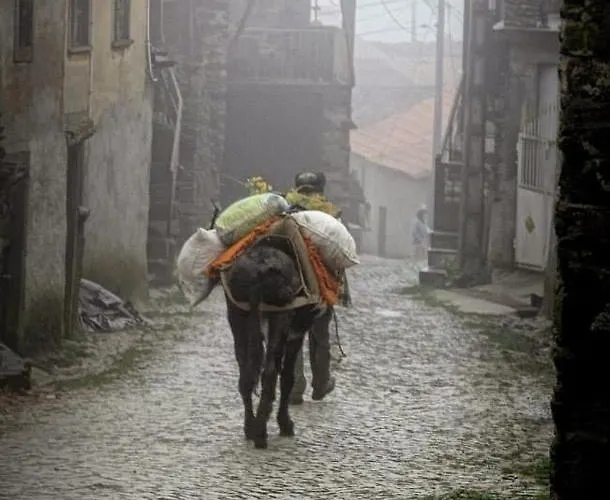 Casa Da Fonte Em Prada, Виньяйш